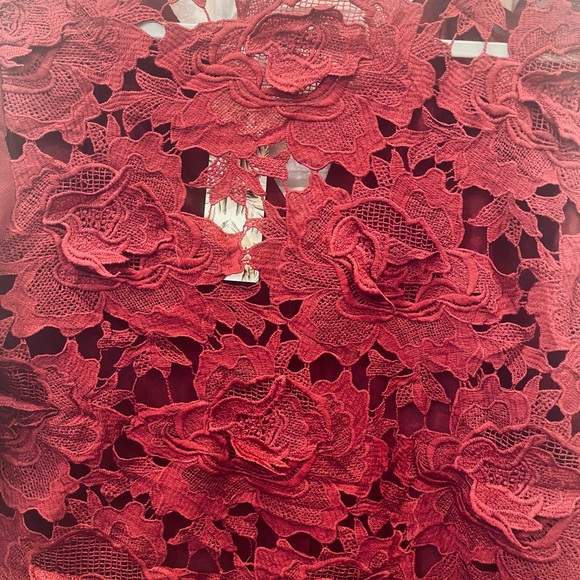 ee: some Woman’s Top/ Blouse NWT Hi/Low Button Down,Long Sleeve,Full back Lace - Picture 5 of 7